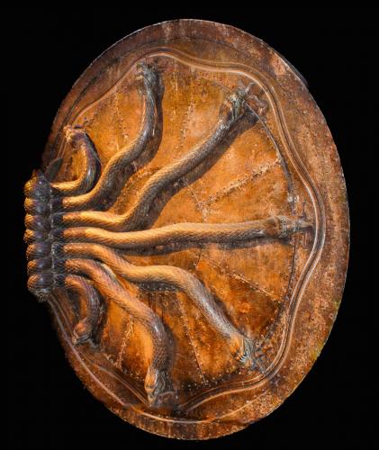 Harry Potter Studios 028