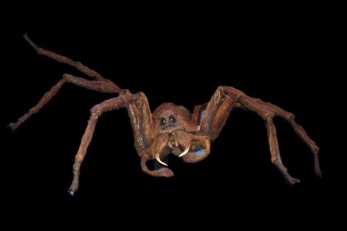 Harry Potter Studios 031