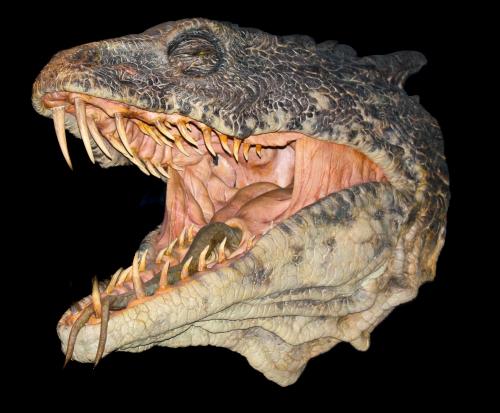 Harry Potter Studios 032