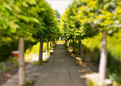 Sissinghurst-Castle-Garden-011-scaled
